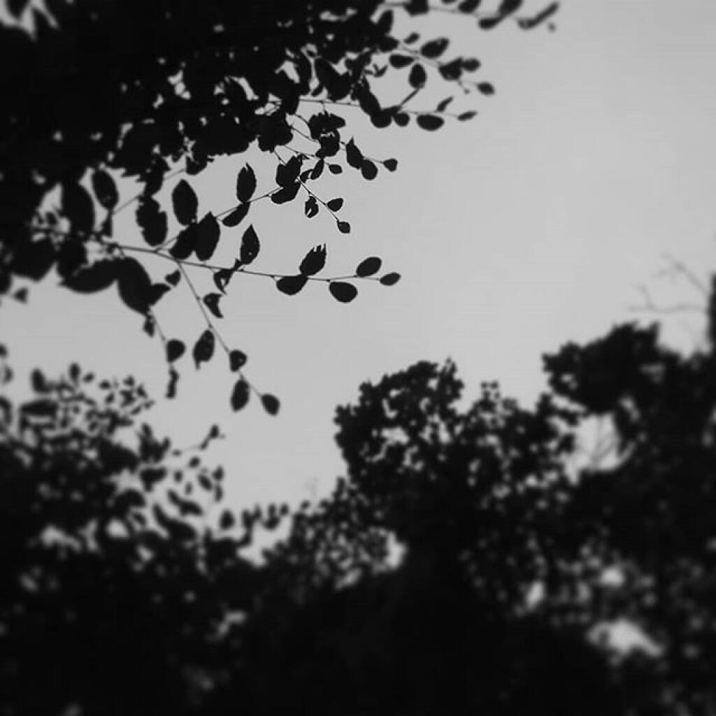 Photo: Looking up Photo: Looking up