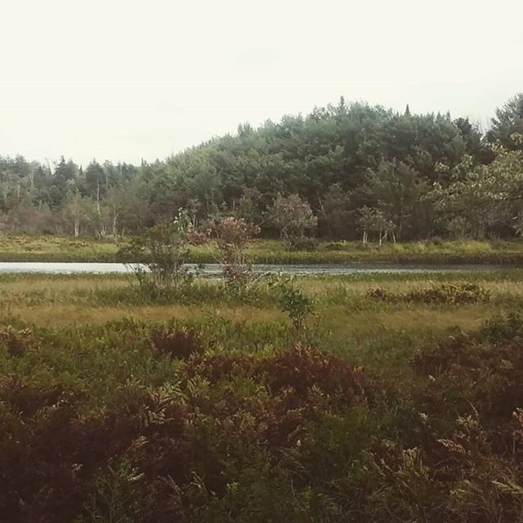 Photo: Kunjamunk River Photo: Kunjamunk River