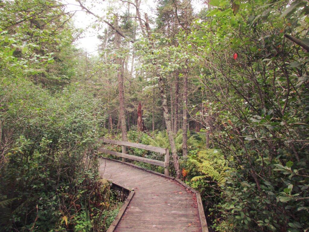 Photo: Spectulator River Walk Photo: Spectulator River Walk