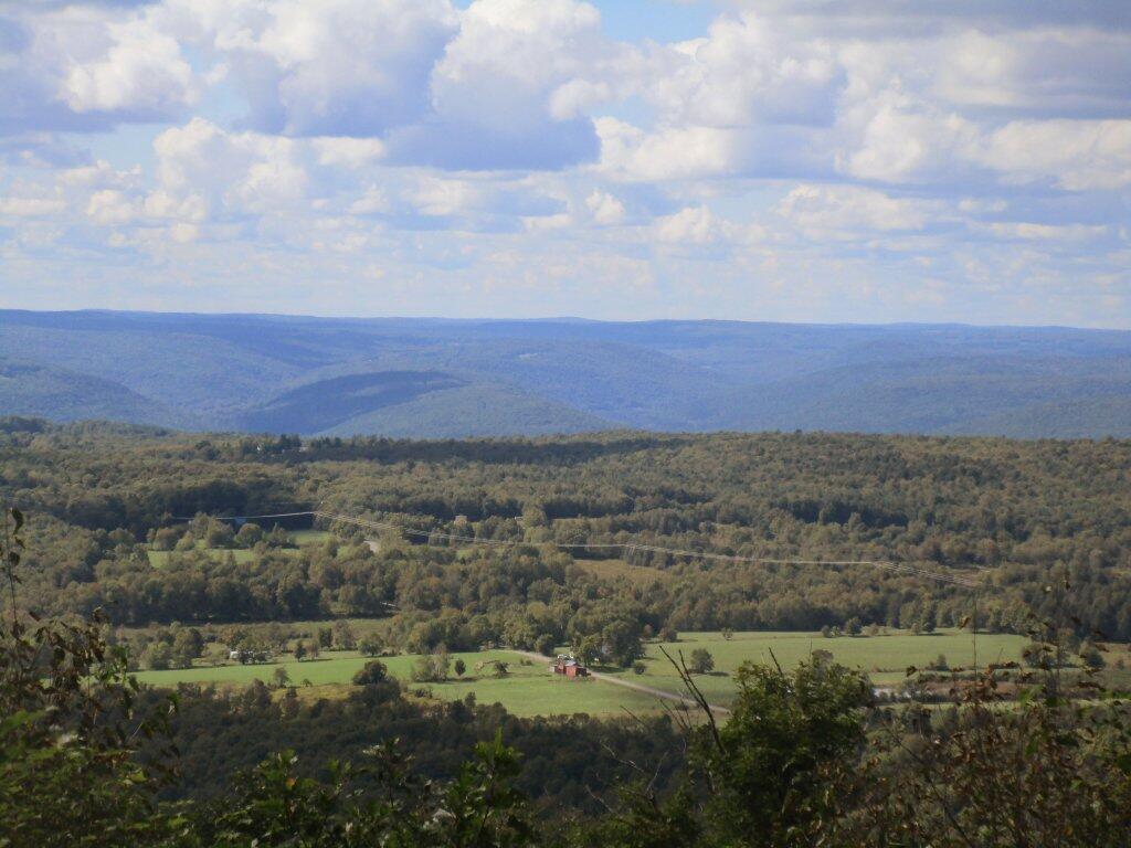 Photo: Towards The State Forest