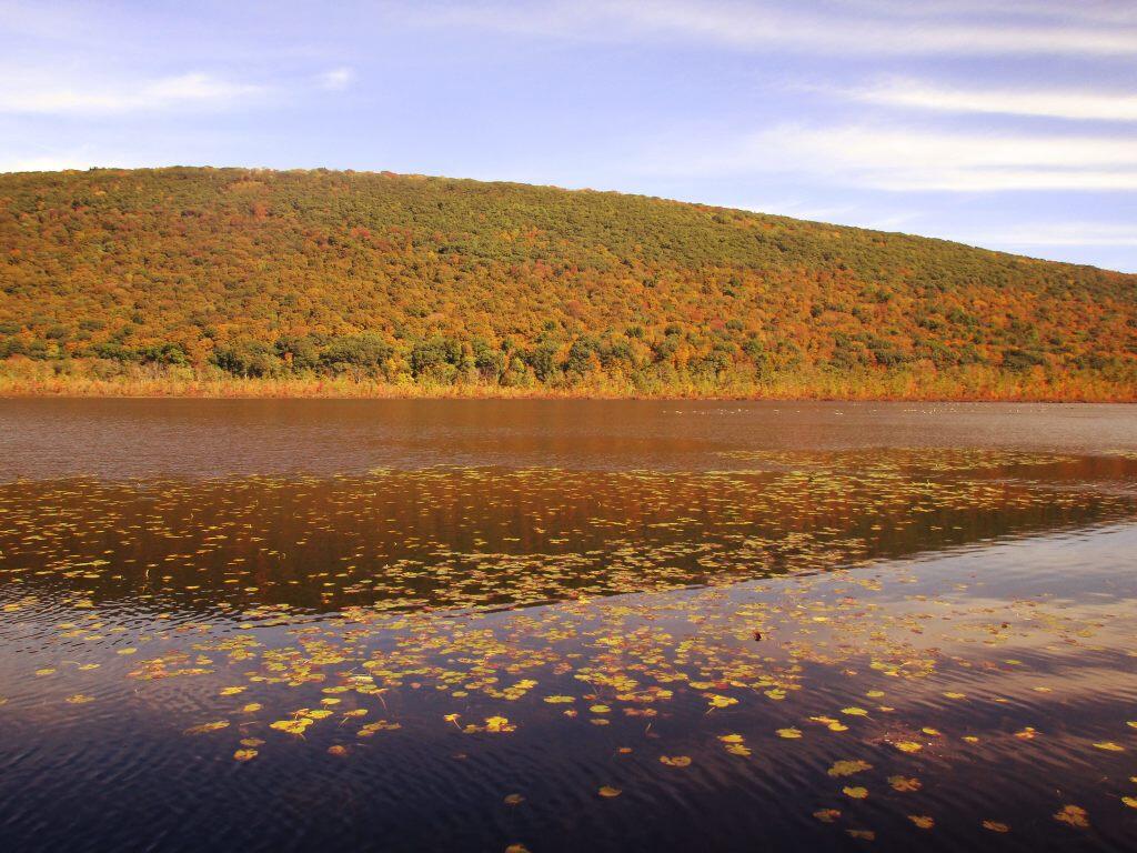 Photo: Labrador Pond And Jones