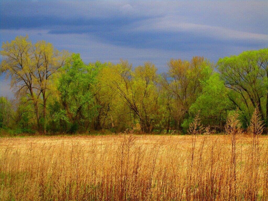 Photo: Springtime Photo: Springtime