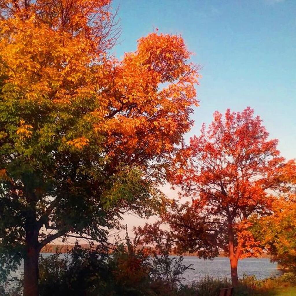 Photo: Colors