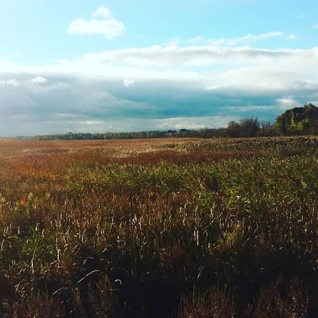 Photo: Watching for birds