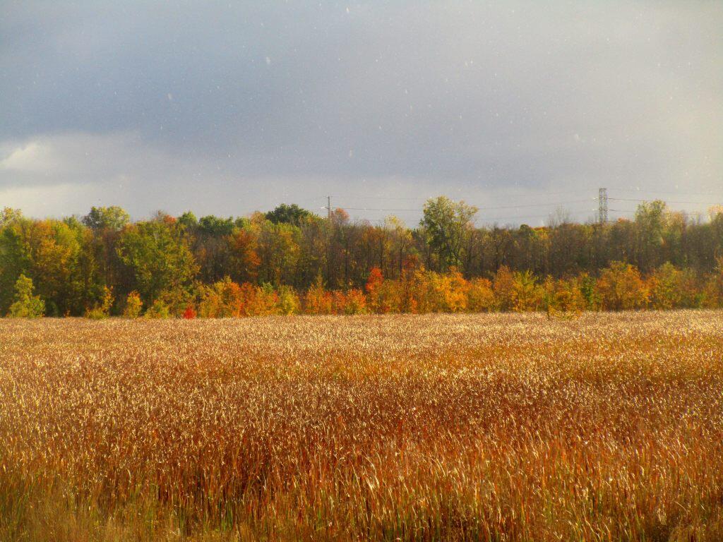 Photo: Autumn Photo: Autumn