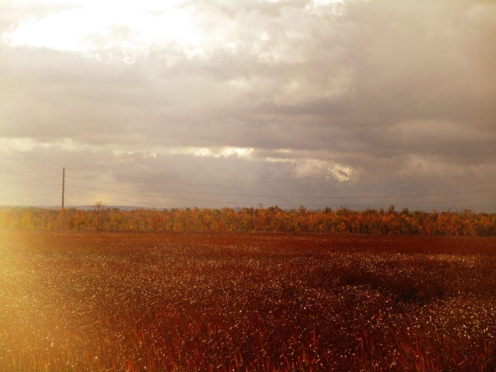 Photo: Starting To Rain