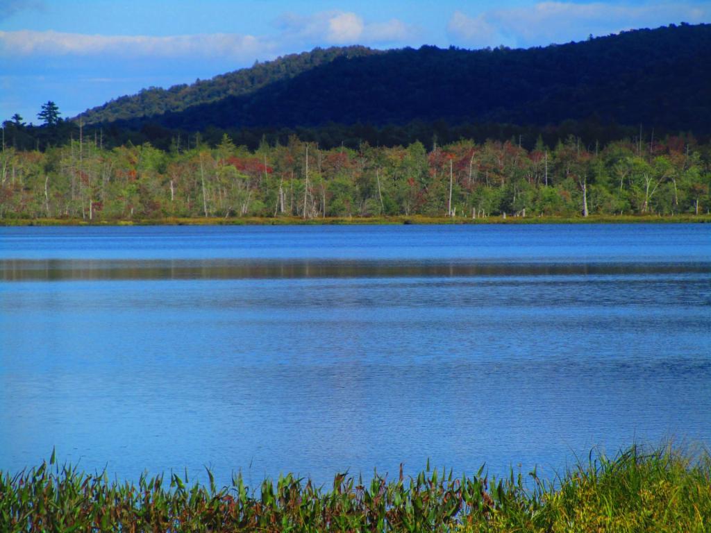 Photo: Across Good Luck Lake