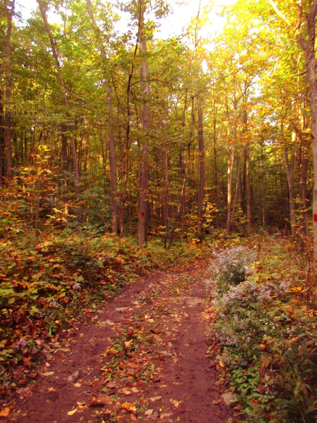 Photo: Long Trail