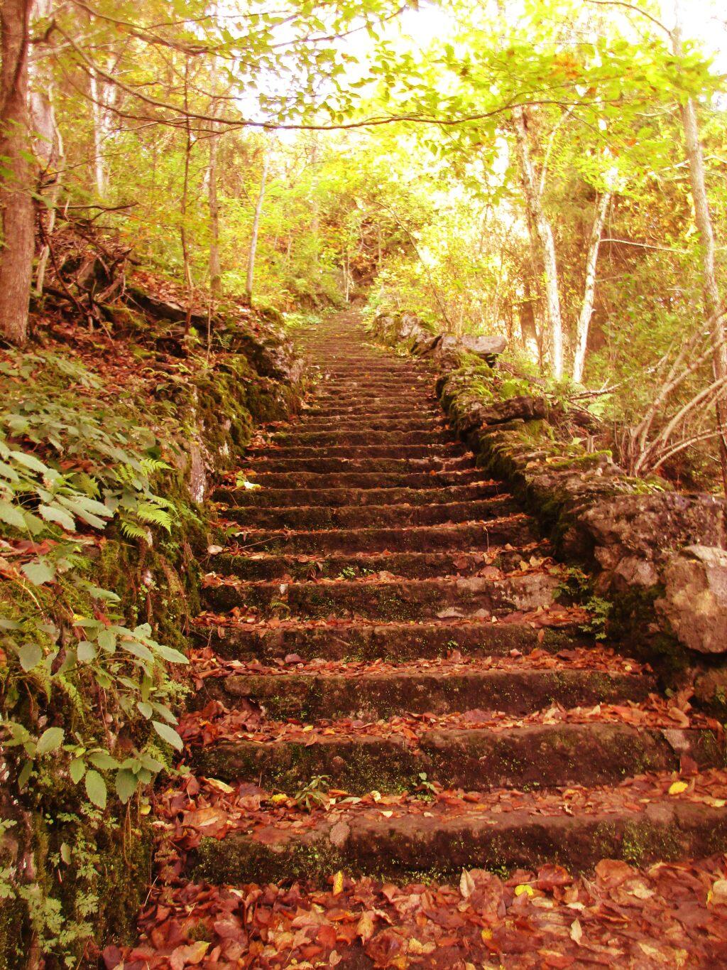 Photo: So Many Stairs