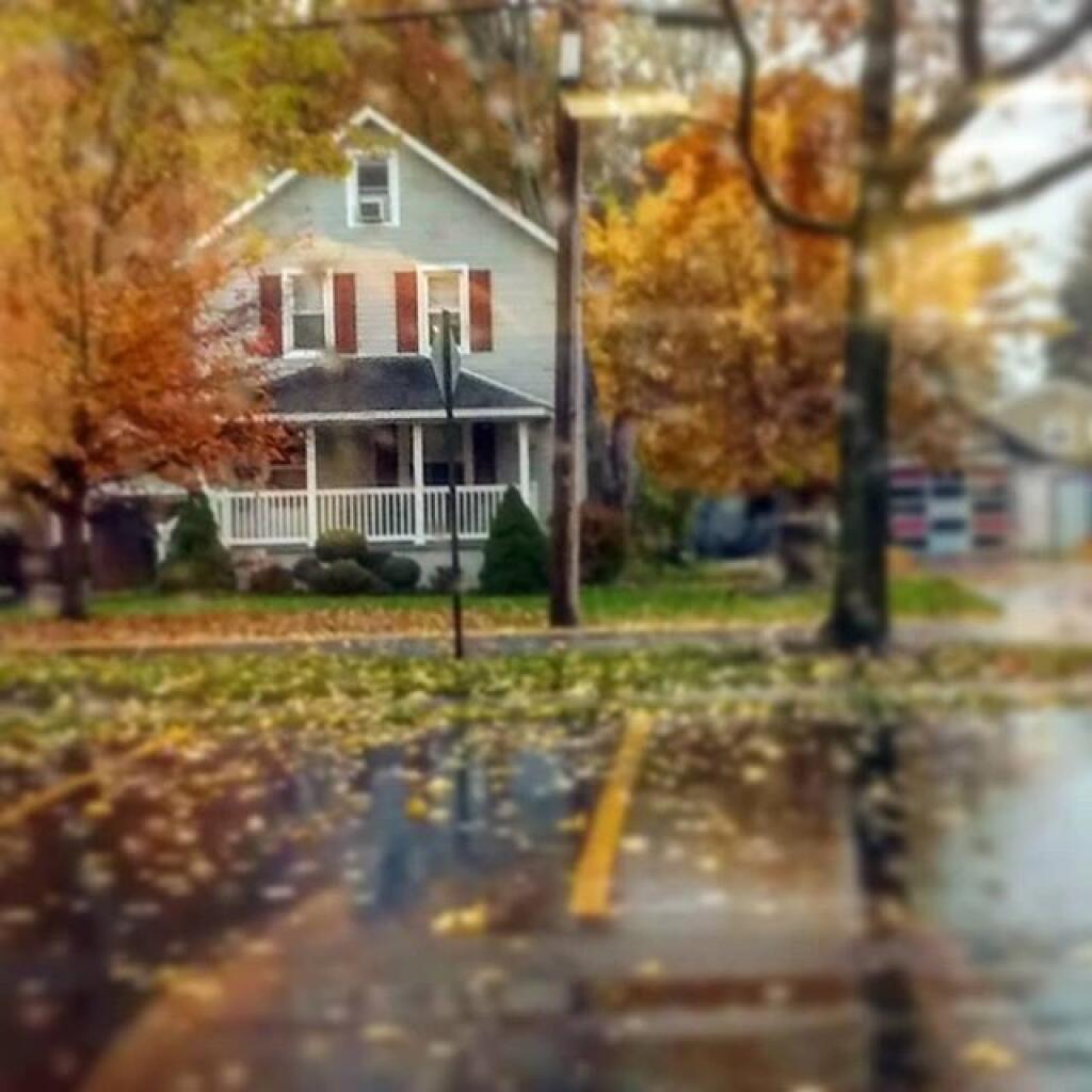 Photo: Rainy morning