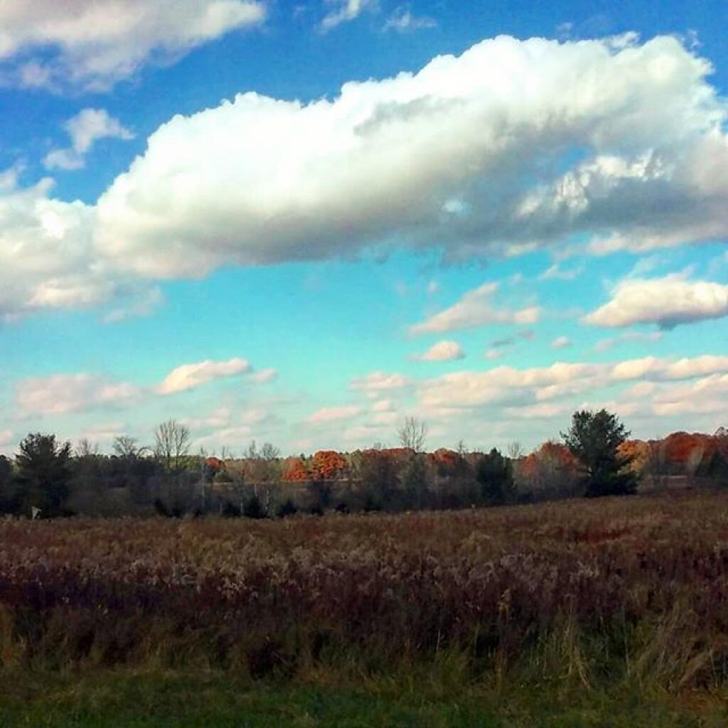 Photo: Blue skies are nice for a change Photo: Blue skies are nice for a change