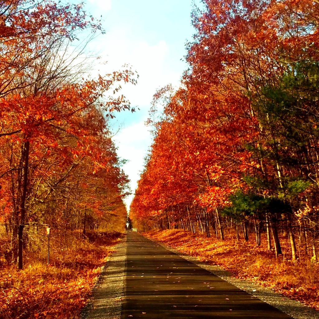 Photo: Autumn afternoon