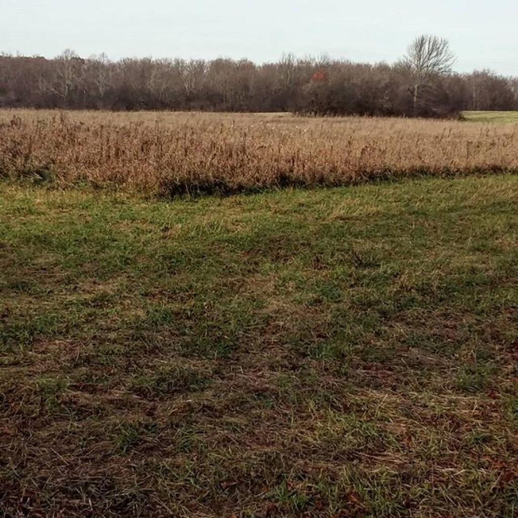 Photo: November Photo: November