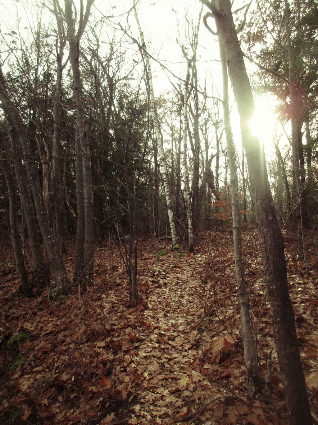 Photo: Early Sunset