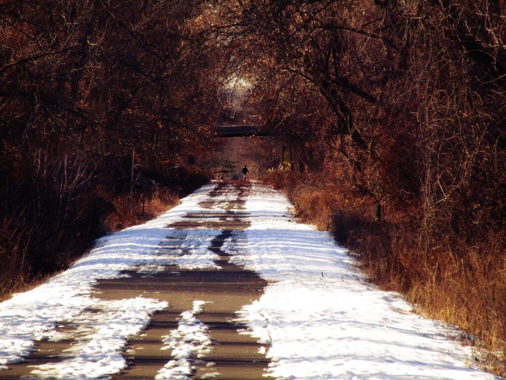 Photo: Dog Walker