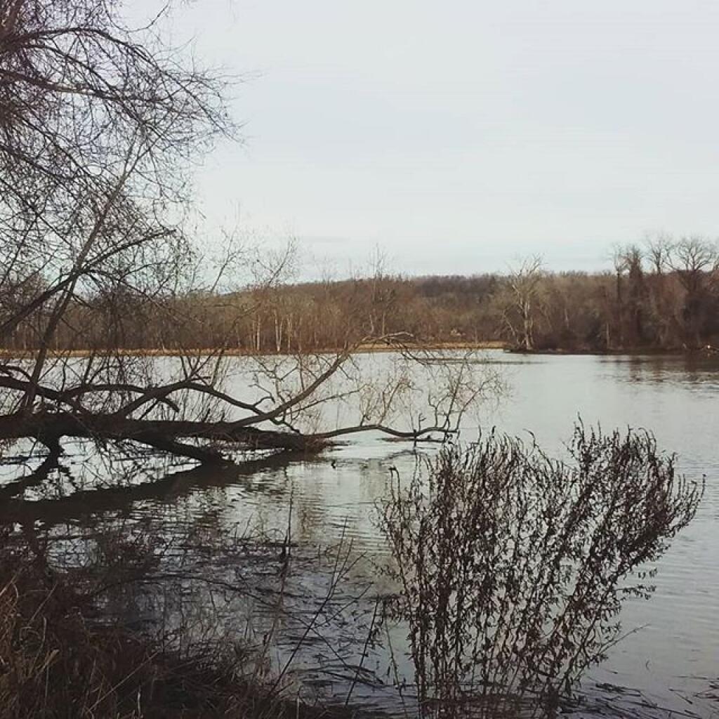 Photo: Schodack Creek