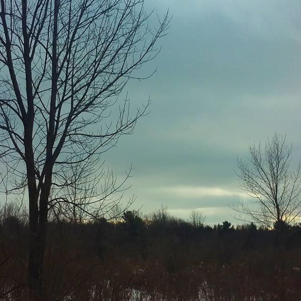 Photo: Afternoon