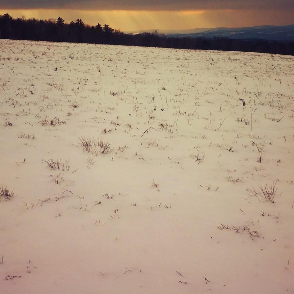 Photo: Had sun to the south