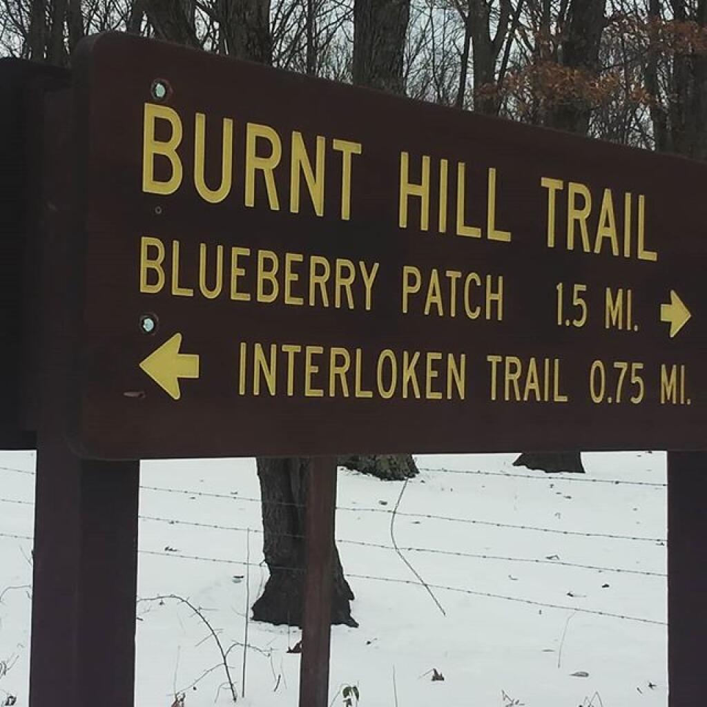 Photo: Hiked parts of Backbone, Burnt Hill, Interloken, Ravine Trails