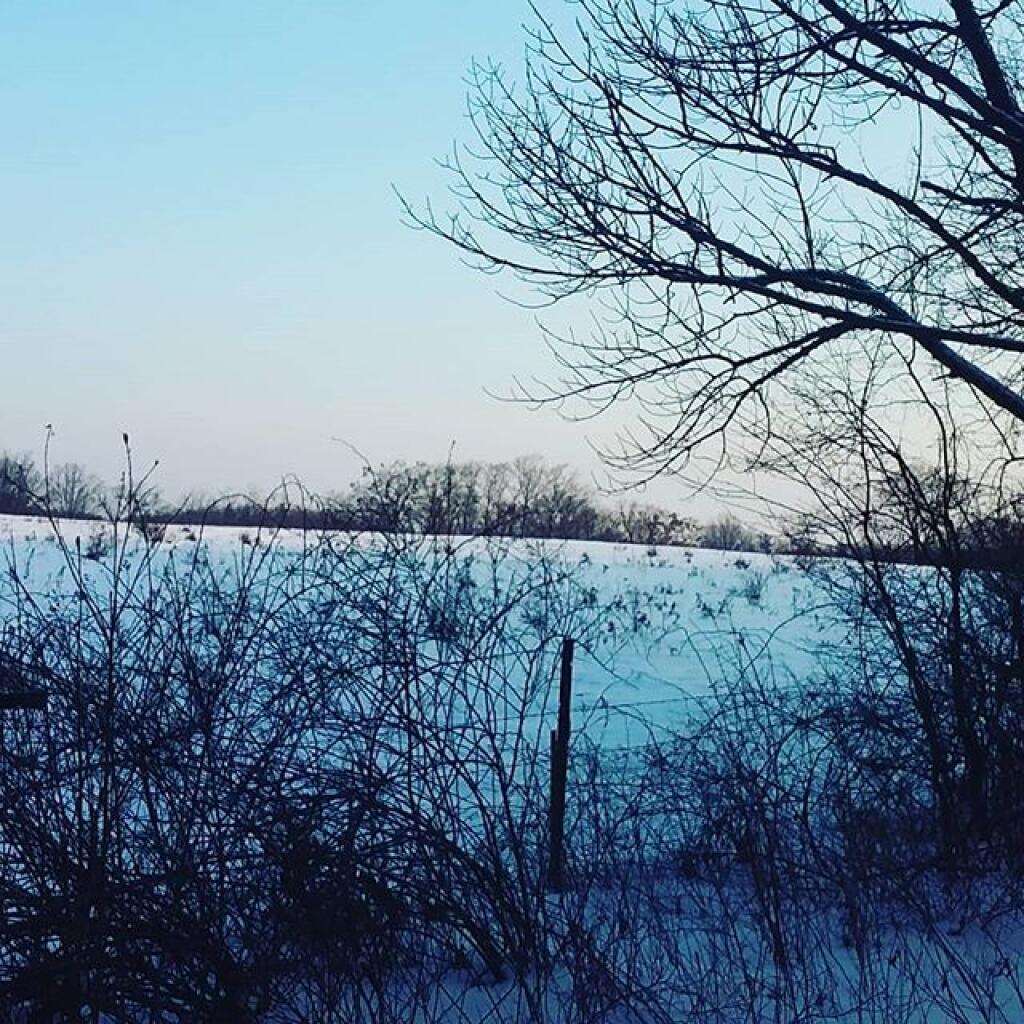 Photo: Grazing season is over, cows are long gone