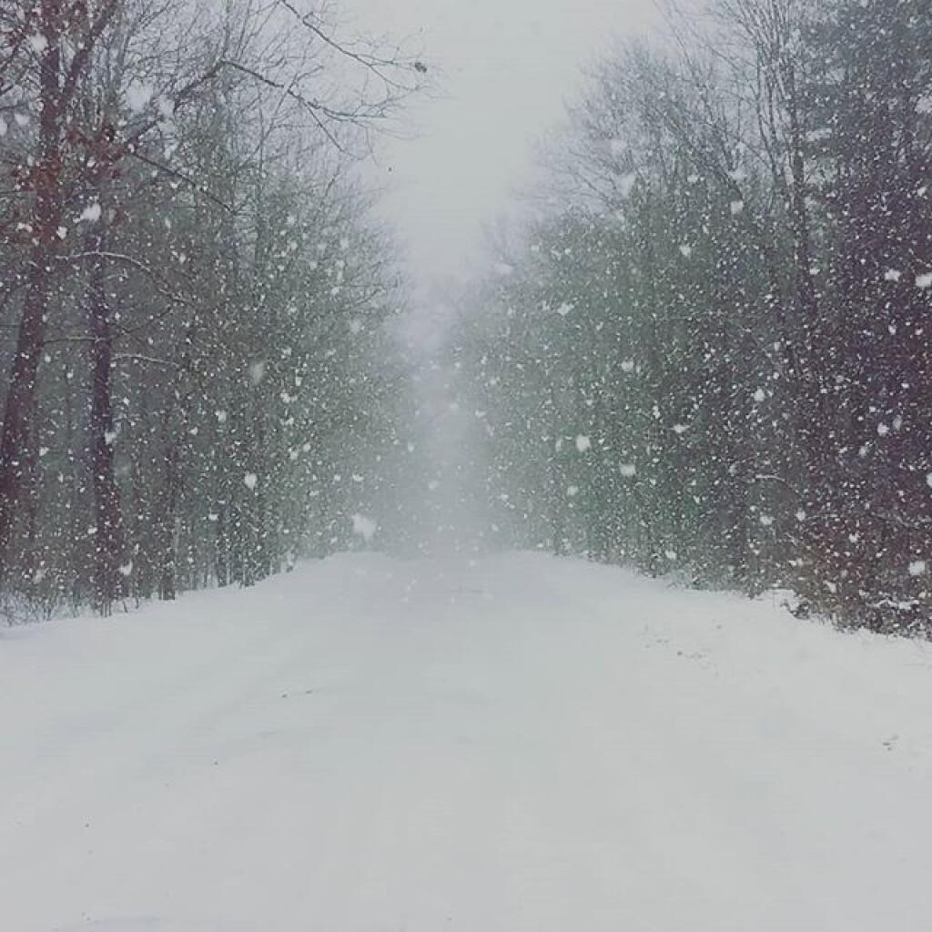 Photo: A winter wonderland Photo: A winter wonderland