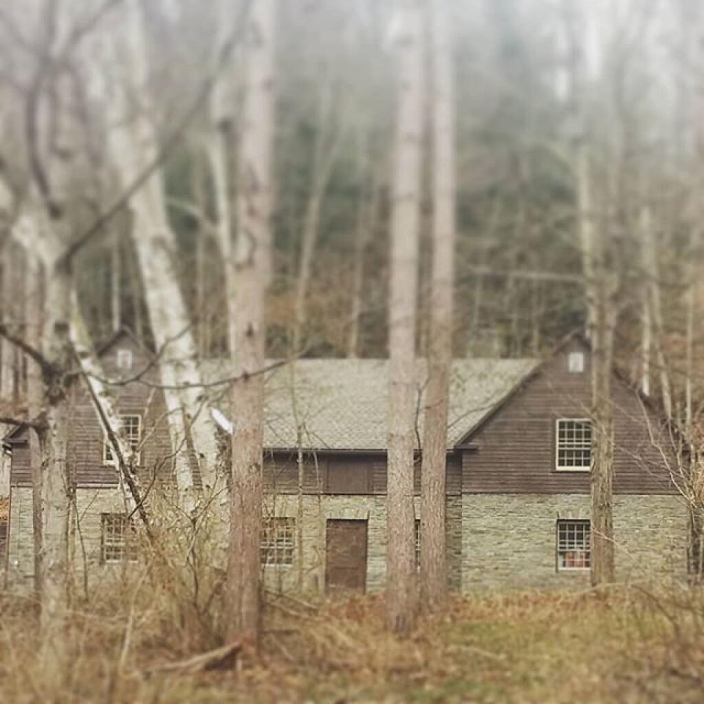 Photo: Budd House Photo: Budd House