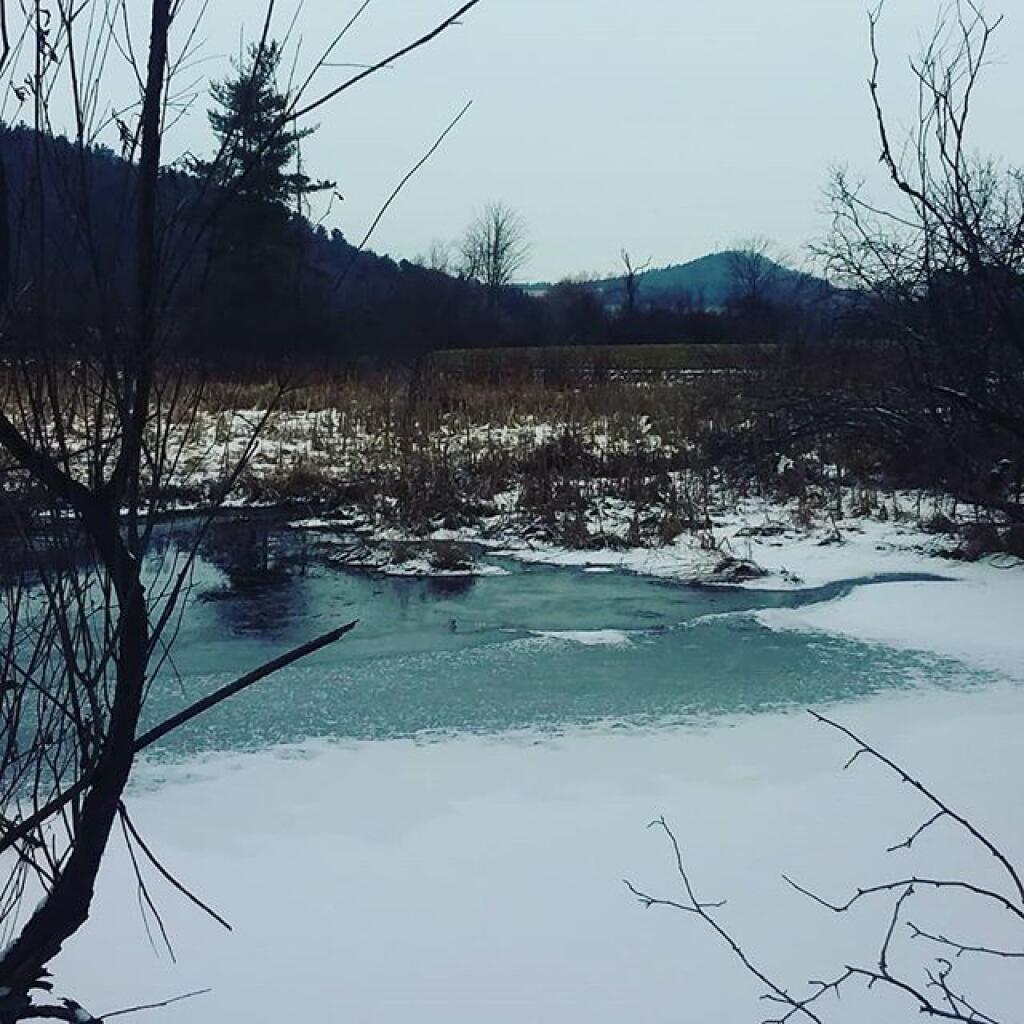 Photo: Beaver Pond