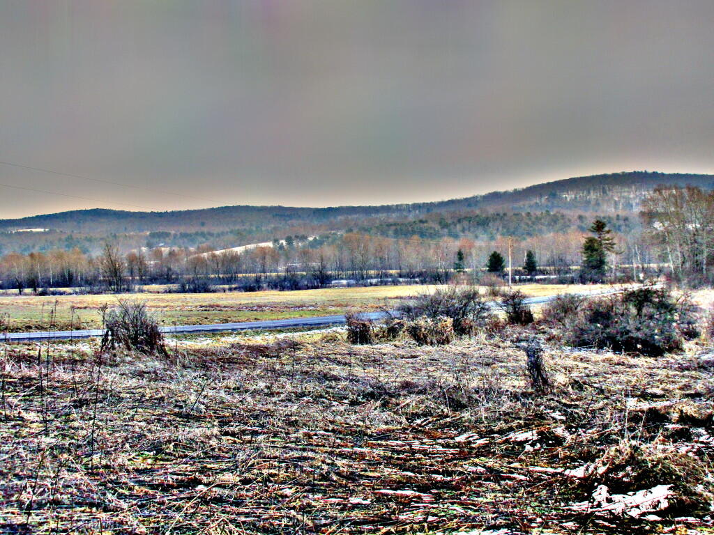 Photo: Hyde Hall Road