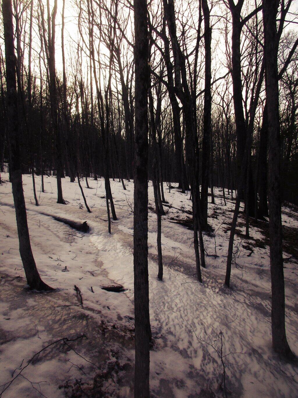 Photo: Freezing Rain Made Everything Icy Photo: Freezing Rain Made Everything Icy