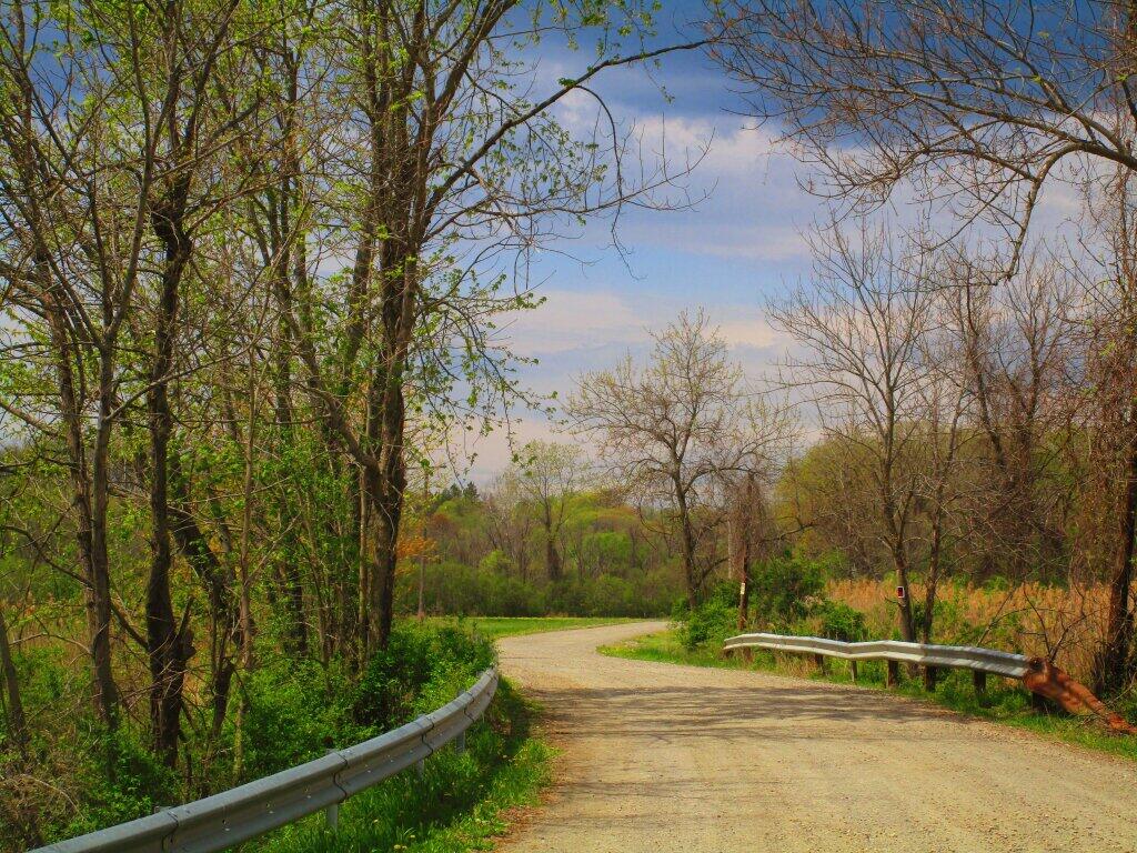 Photo: Staats Island Road Photo: Staats Island Road