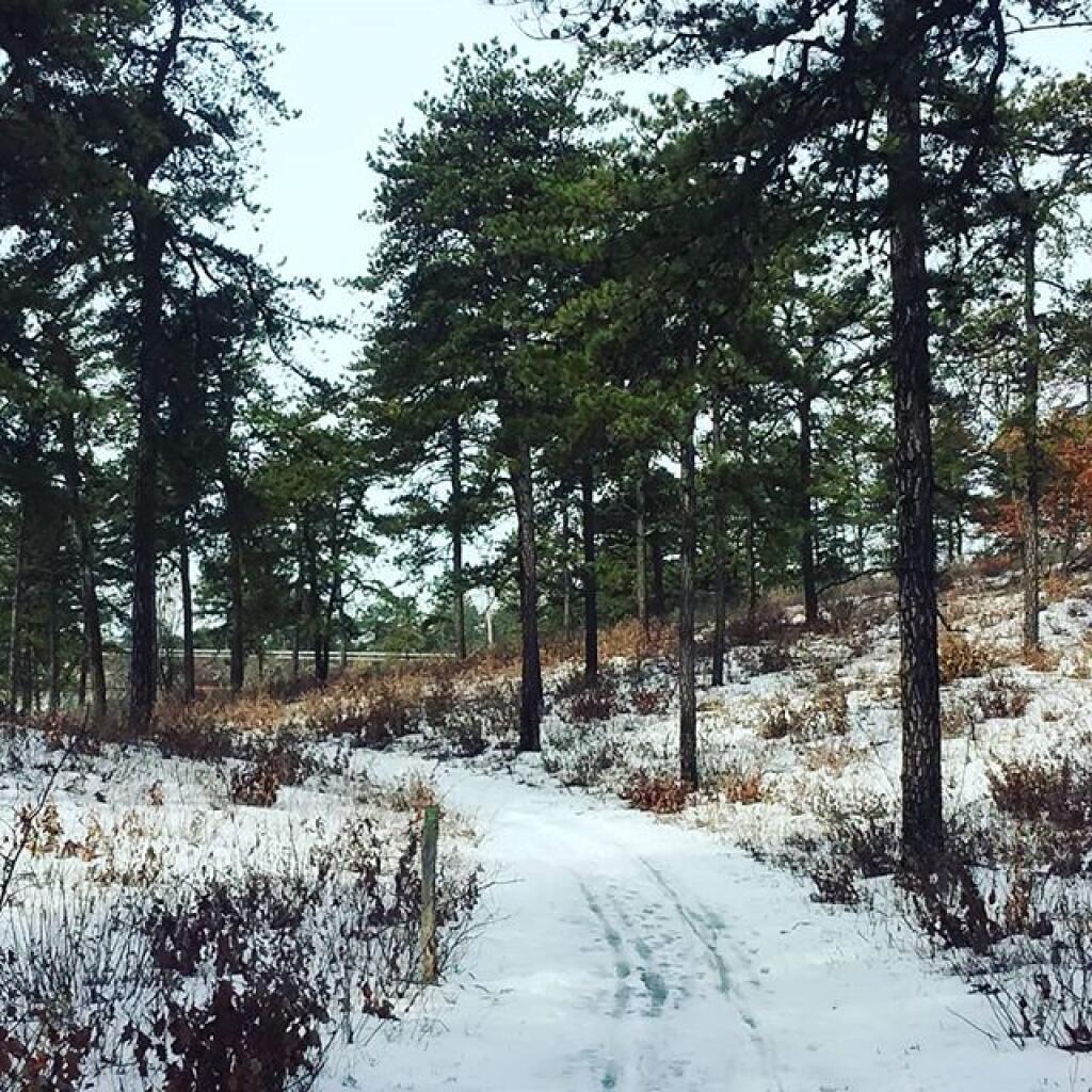Photo: Nice day at the preserve