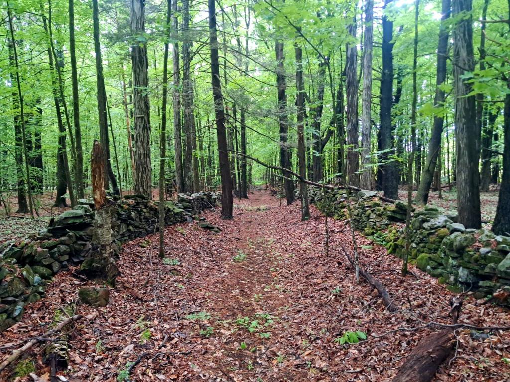 Photo: Old Road