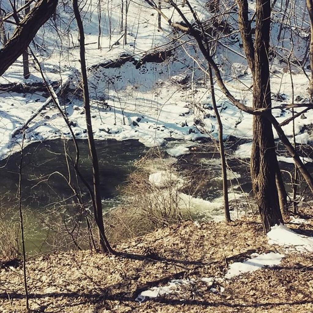 Photo: Partially thawed Photo: Partially thawed