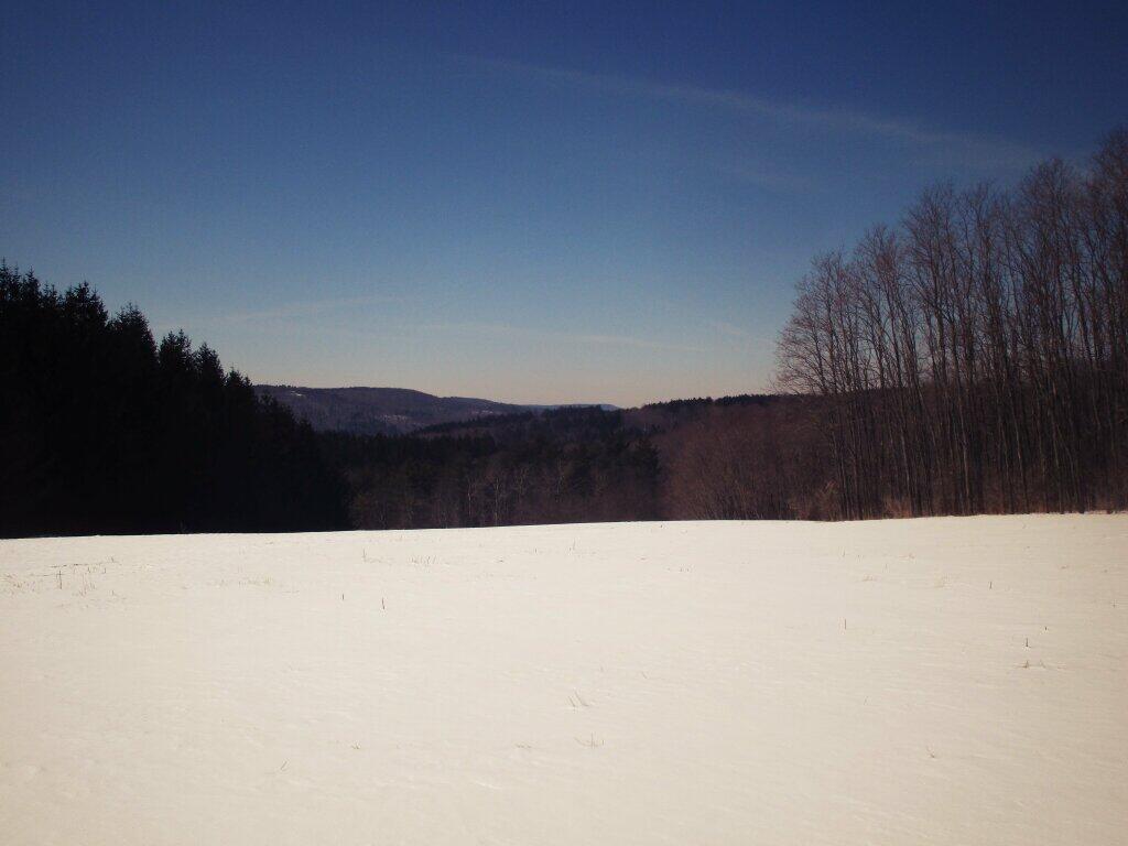 Photo: Bright And White Photo: Bright And White