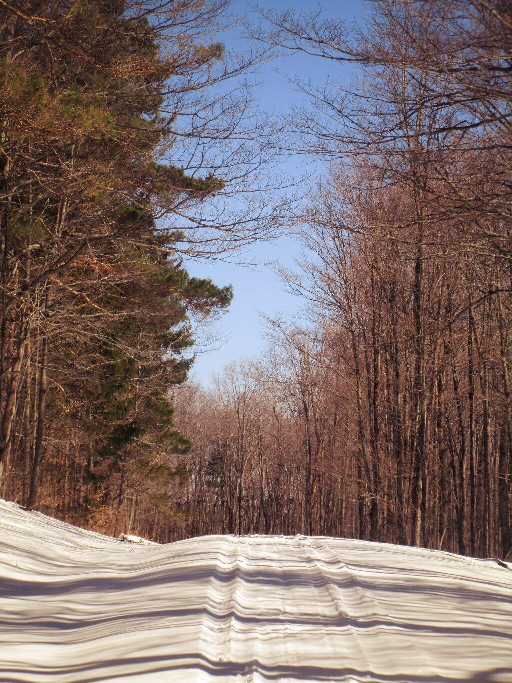 Photo: Great Base For Skiing On Photo: Great Base For Skiing On