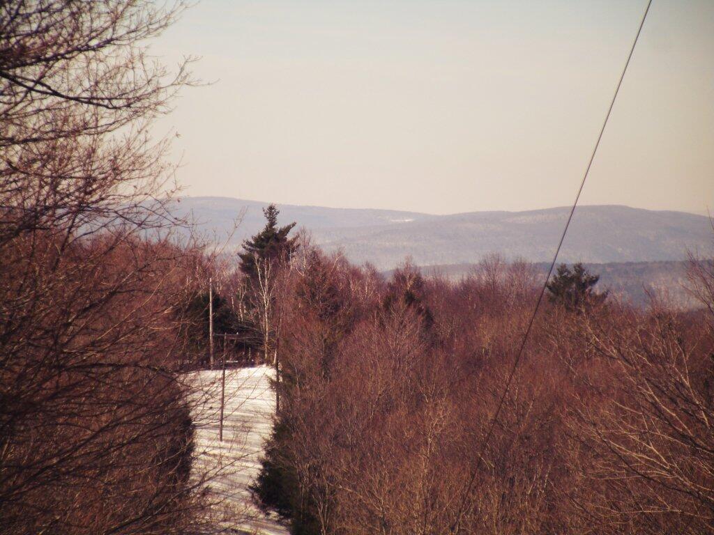 Photo: Power Line Photo: Power Line