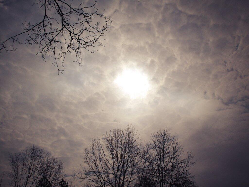Photo: Had Some Sun