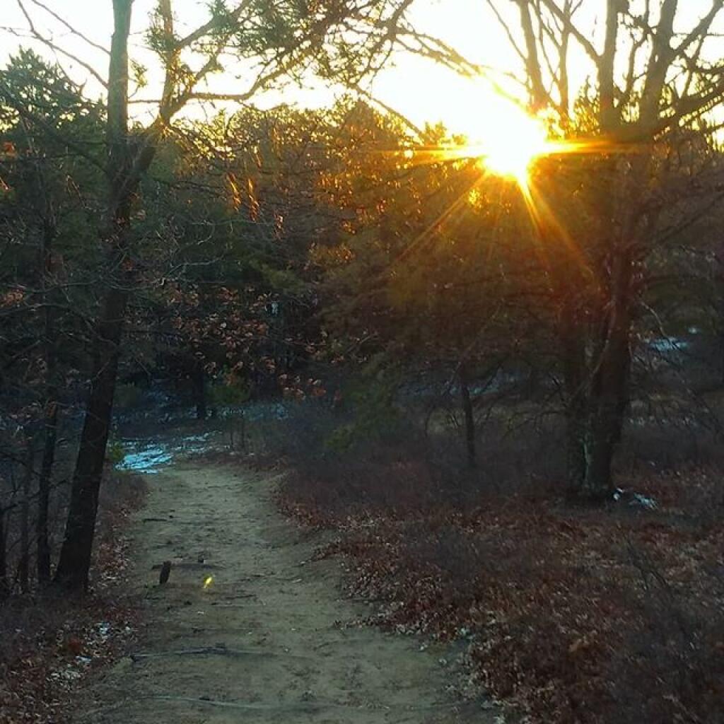 Photo: Cold evening for a walk