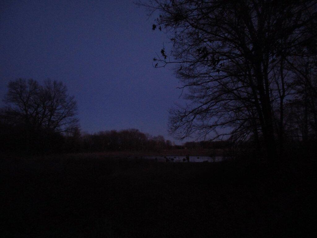 Photo: Pond