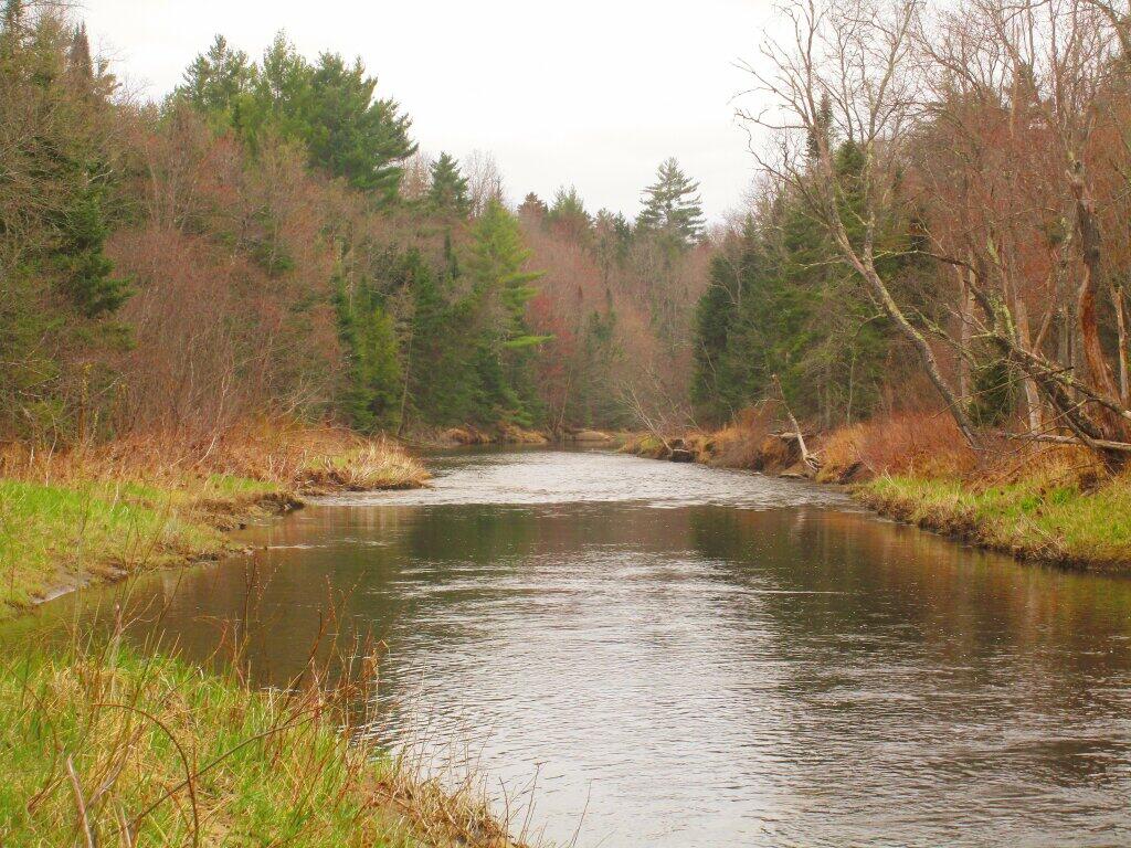 Photo: East Branch