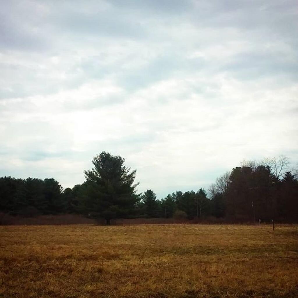 Photo: No rain but hardly a nice day