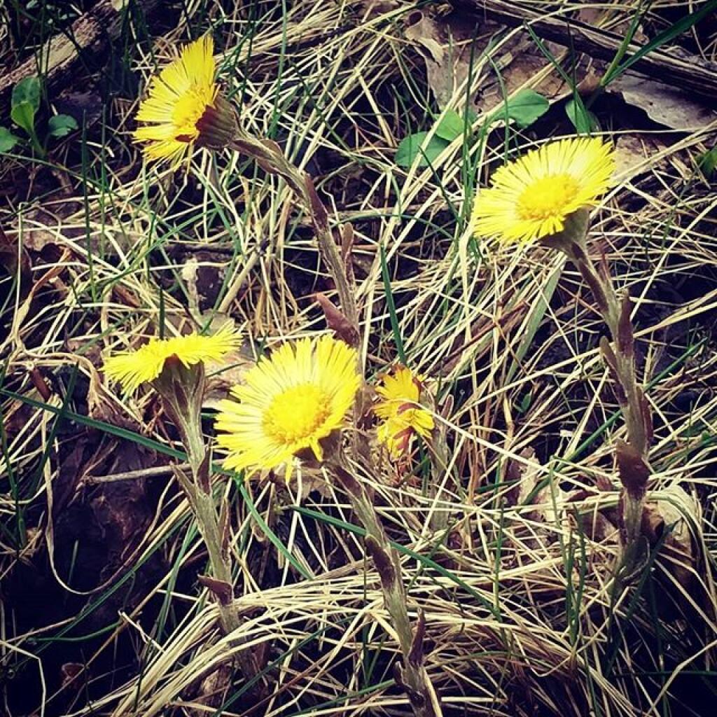 Photo: Spring is coming