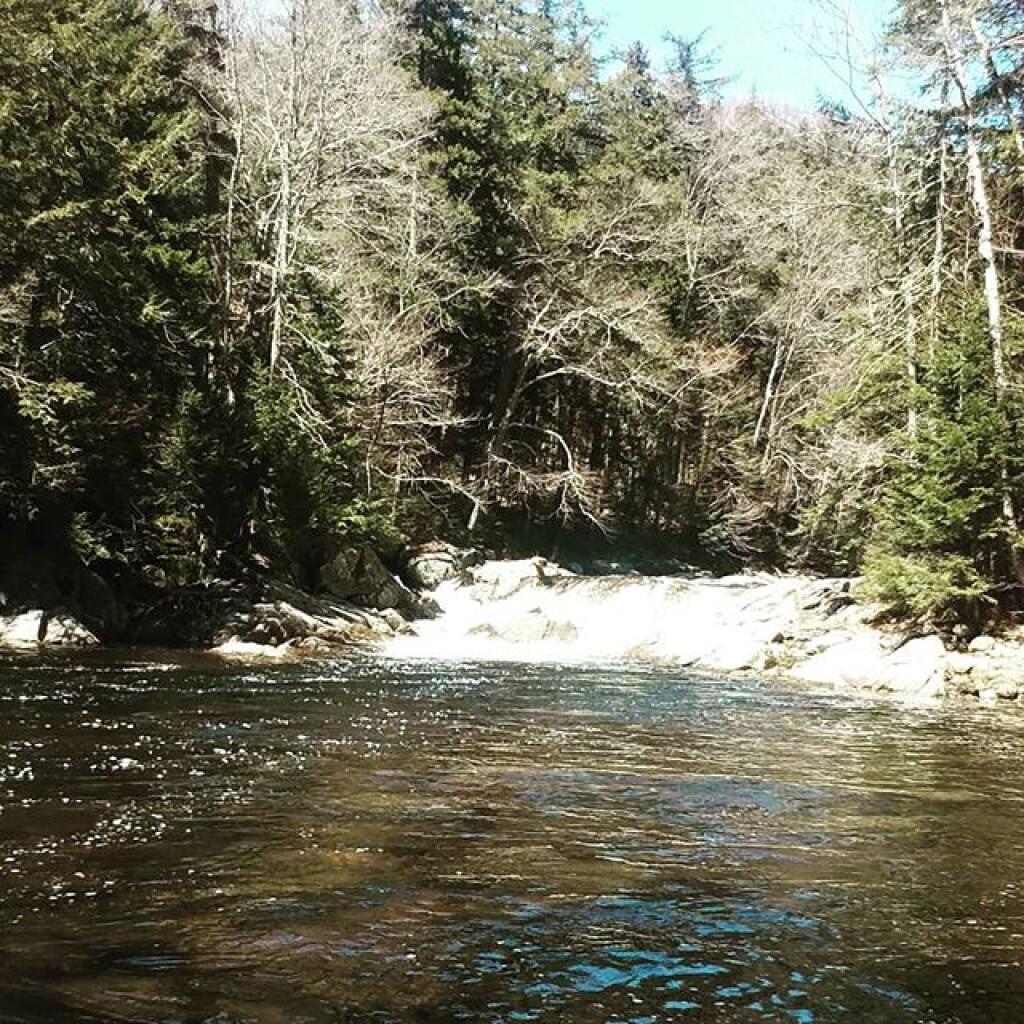 Photo: I hiked a mile back in the wilderness on an unmarked trail for this? Photo: I hiked a mile back in the wilderness on an unmarked trail for this?