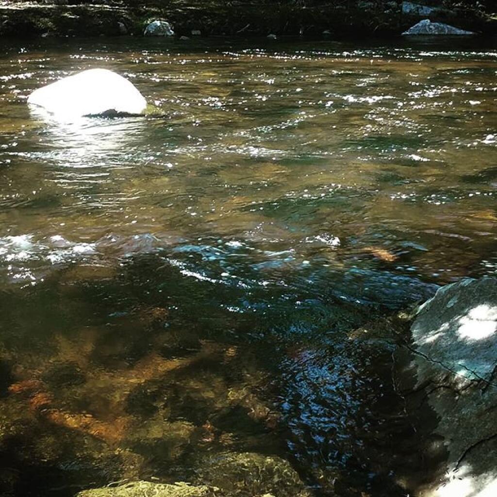Photo: Flow river, flow