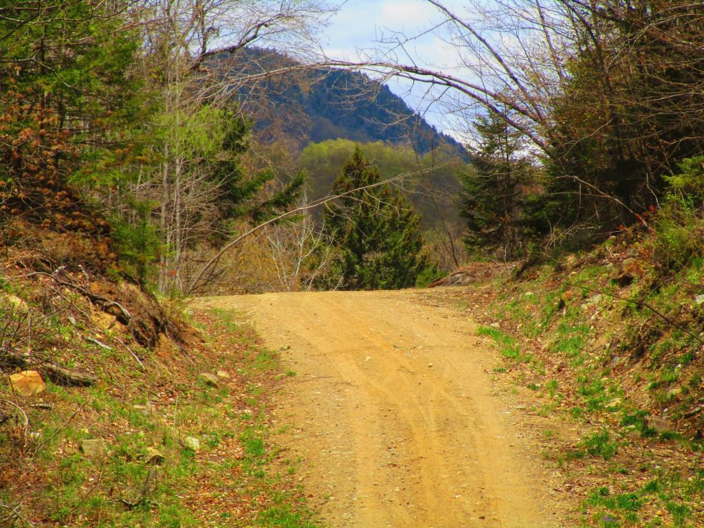 Photo: Towards the end of Robb Creek Road Photo: Towards the end of Robb Creek Road
