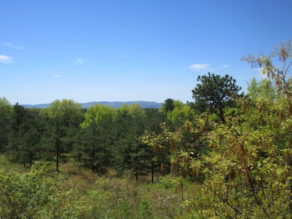 Photo: Great Spring Day Photo: Great Spring Day