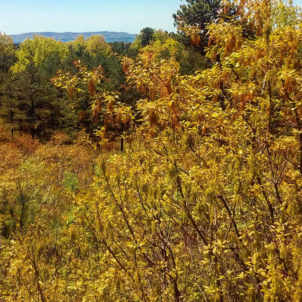 Photo: Absolutely beautiful day Photo: Absolutely beautiful day