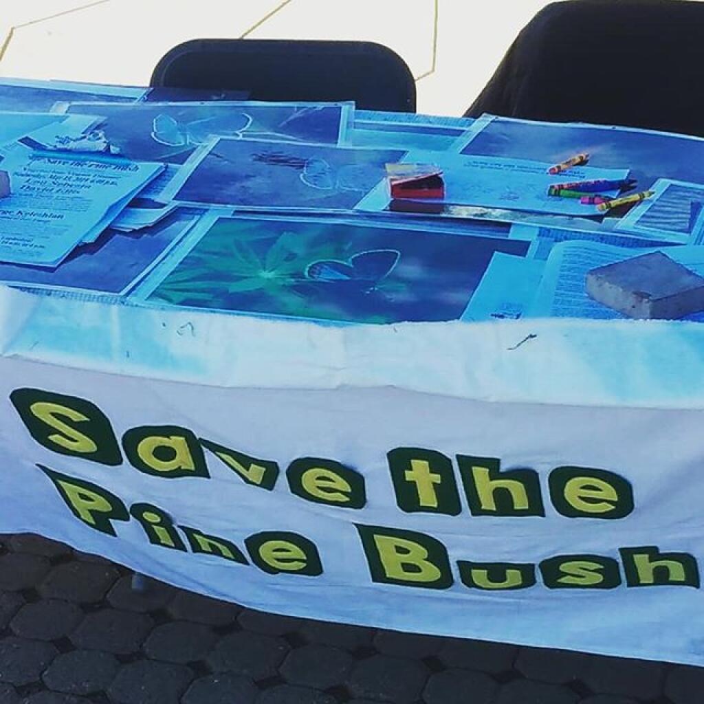 Photo: Save the Pine Bush Photo: Save the Pine Bush