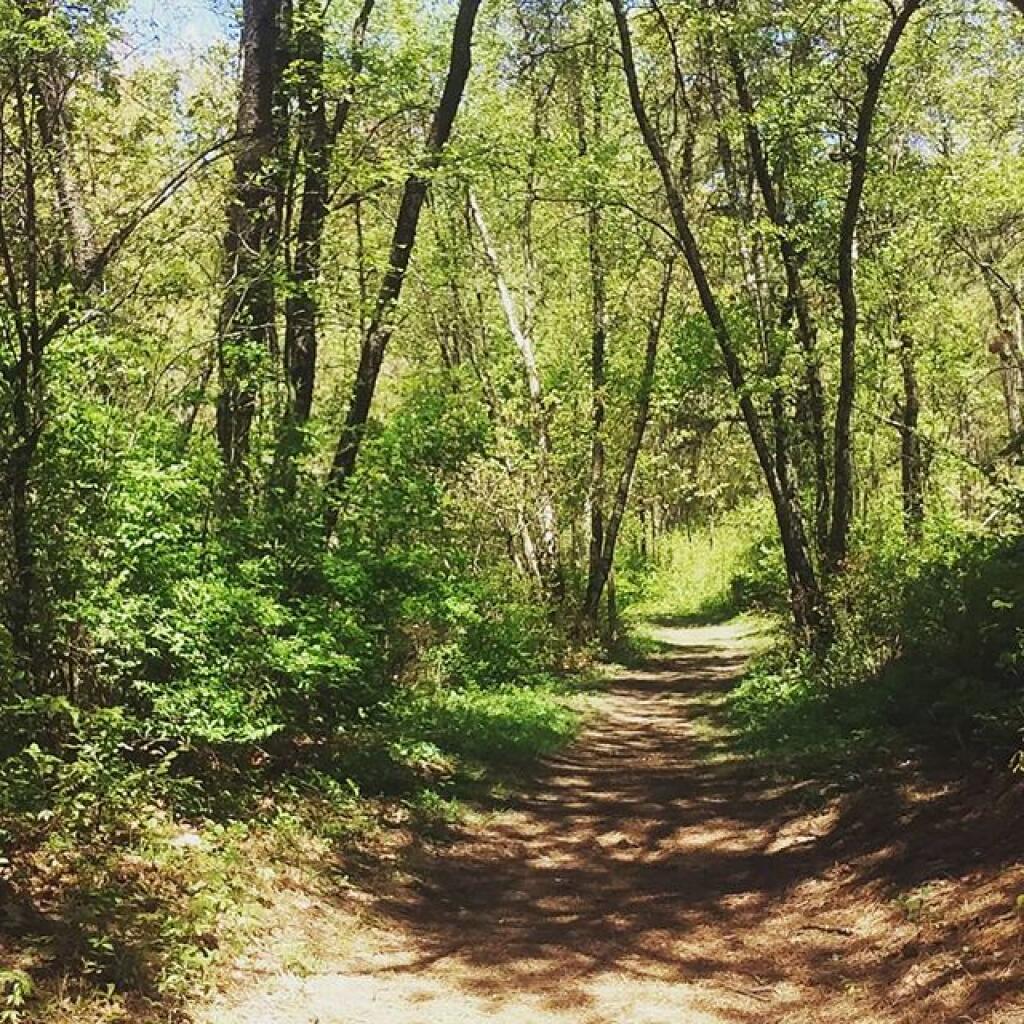 Photo: Nice day for a walk