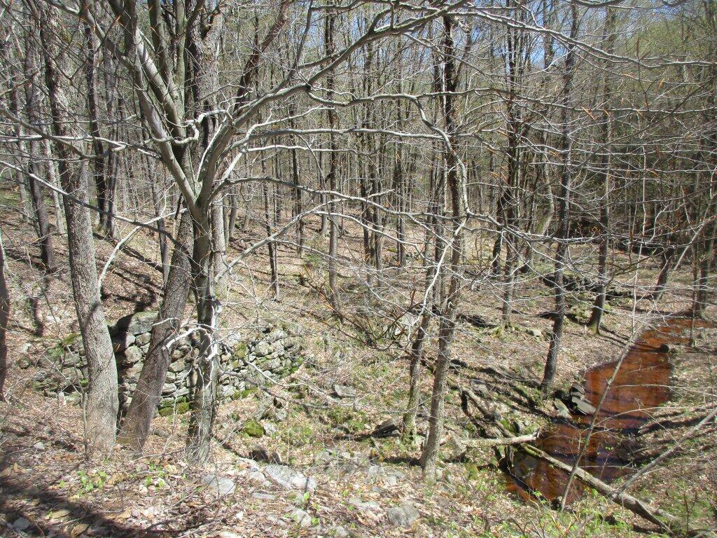 Photo: Glassgow Mill Ruins Photo: Glassgow Mill Ruins